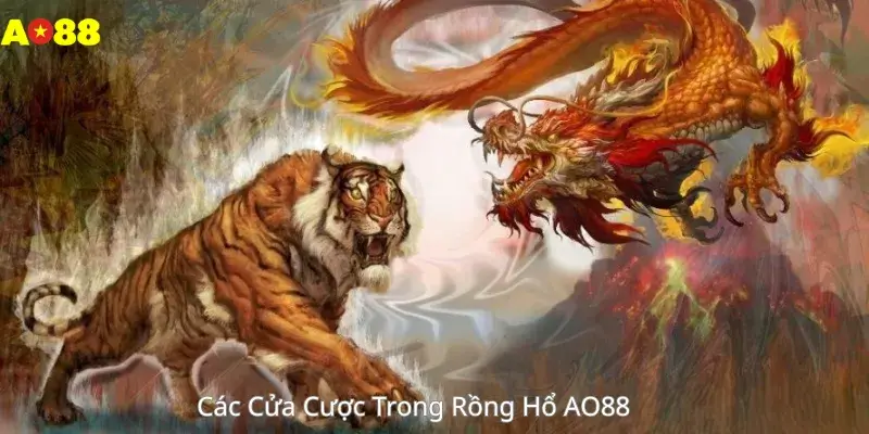 Các Cửa Cược Trong Rồng Hổ AO88 