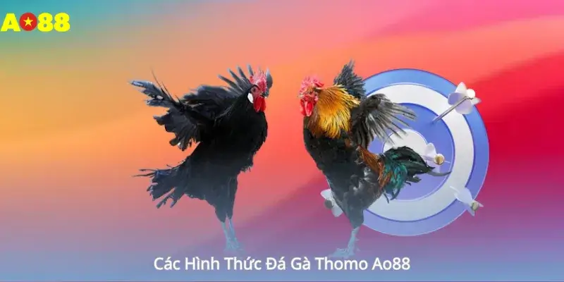 Các Hình Thức Đá Gà Thomo Ao88 