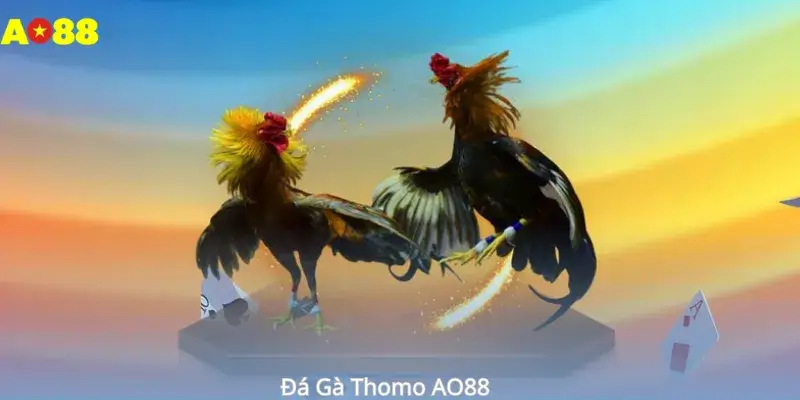 Đá Gà Thomo AO88