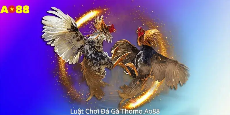 Luật Chơi Đá Gà Thomo Ao88 